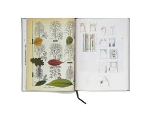 Een blad uit Pessoa loopt door de straten van New York. Zie publicaties,