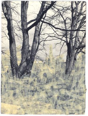 Maastricht, Nijmegen 2009. Prive-collectie, Nijmegen